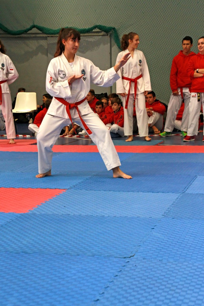 III Copa Seúl (47).jpg